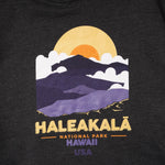 画像をギャラリービューアに読み込む, DEAD STOCK デッドストック HALEAKALA HAWAII USA ハレアカラ ハワイ プリントフーディ チャコールグレー パーカー C.GRAY HOODIE MENS