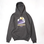 画像をギャラリービューアに読み込む, DEAD STOCK デッドストック HALEAKALA HAWAII USA ハレアカラ ハワイ プリントフーディ チャコールグレー パーカー C.GRAY HOODIE MENS