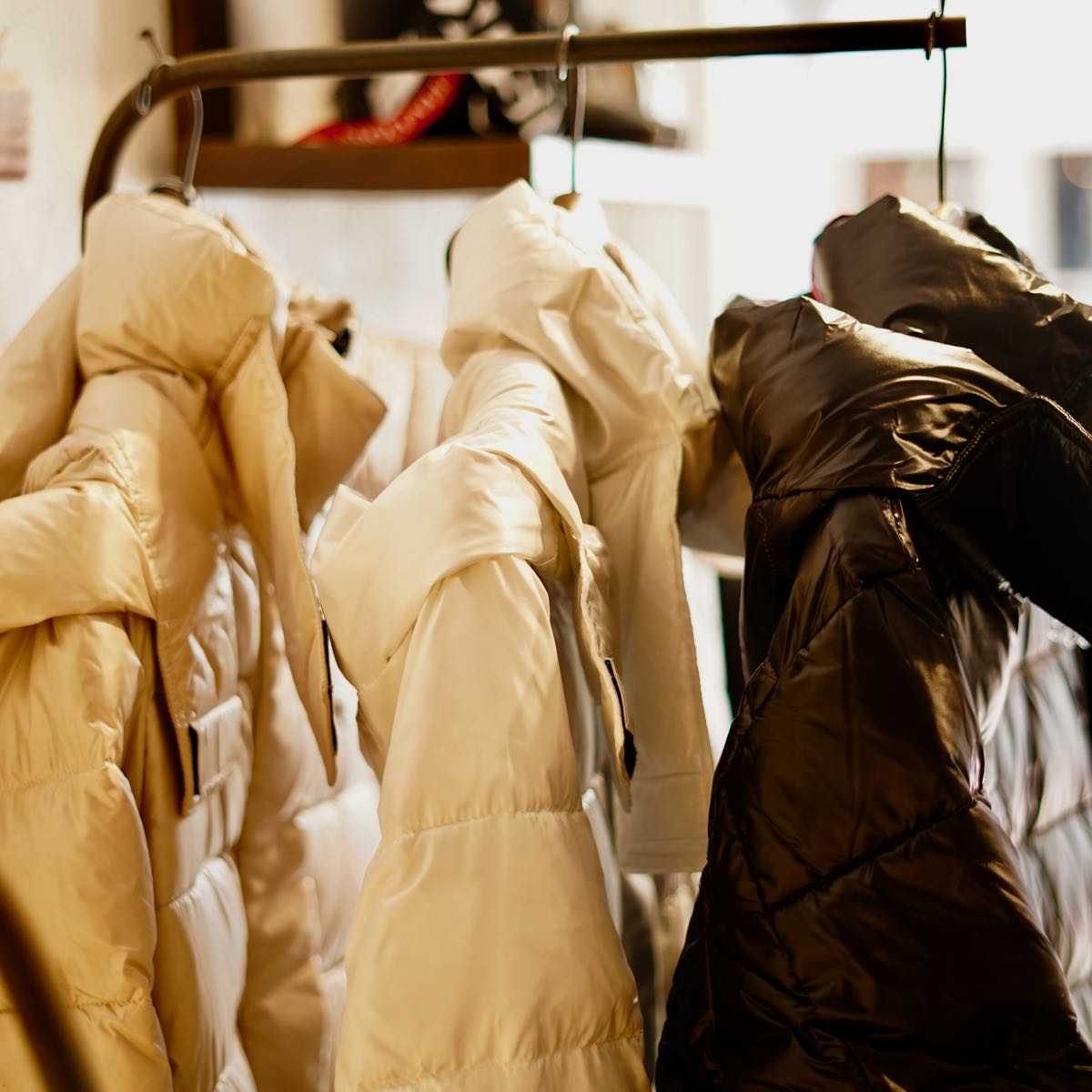 新作続々入荷してます