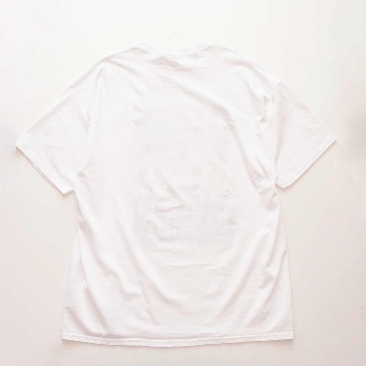 THE GOLDEN STATE CALIFORNIA ノーブランド  Tシャツ NO BRAND WHITE TEE FRUIT OF THE LOOM