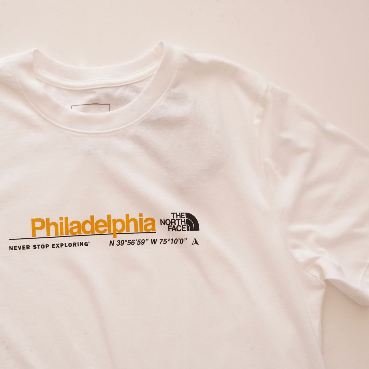 ノースフェイス ホワイト フィラデルフィア シティ Tシャツ THE NORTH FACE WHITE PHILADELPHIA CITY TEE WOMENS