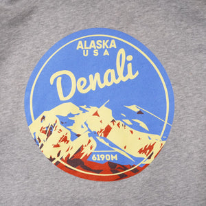 DEAD STOCK デッドストック ALASKA DENALI USA 6190M アラスカ デナリ プリントフーディ グレー パーカー GRAY HOODIE MENS
